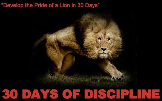 The Pride of a Lion 30 Days of Discipline
