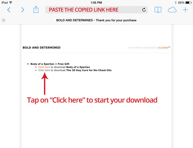 iOS download step 2