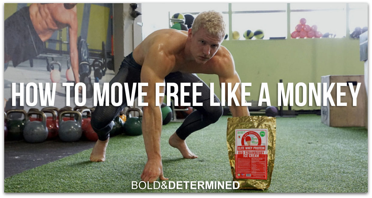 Functional Fitness Optimization