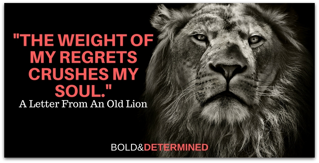 letter-from-a-lion